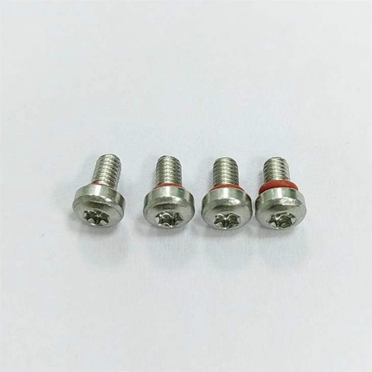 torx sealing screw (3)