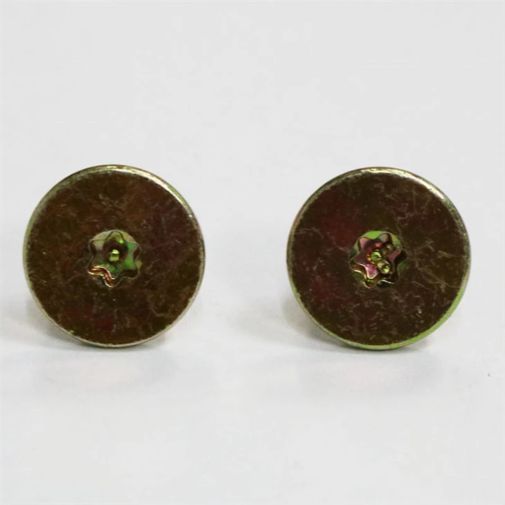 star socket screw (3)