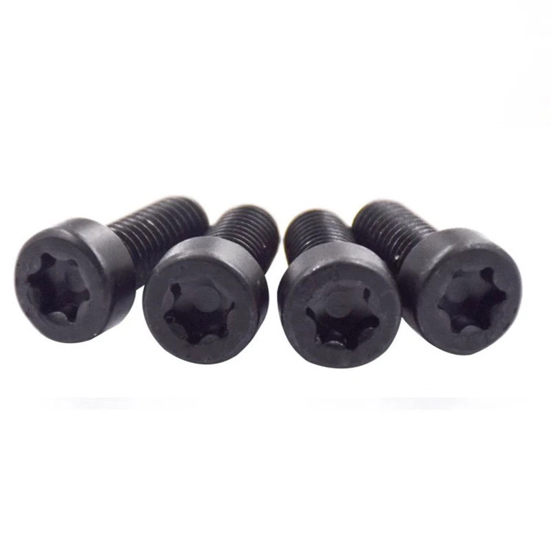 black torx screw 4
